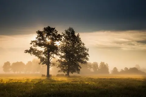 foto: Mindaugas Macaitis