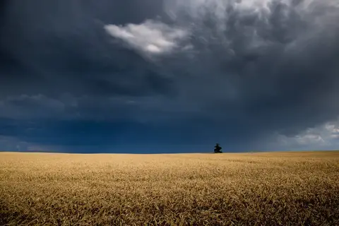 foto: Mindaugas Macaitis