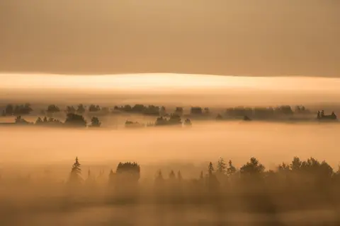 foto: Mindaugas Macaitis