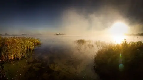foto: Mindaugas Macaitis