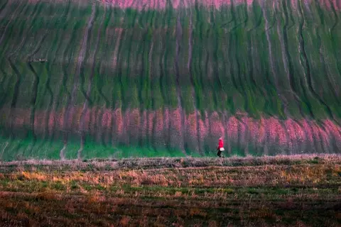 foto: Mindaugas Macaitis