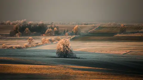 foto: Mindaugas Macaitis