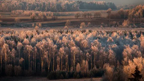 foto: Mindaugas Macaitis