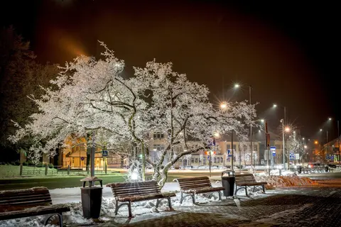 Briga Povilioniene 2015 geriausi kadrai