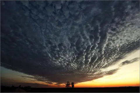 Fotografas Giedrius Šeibelis #fotošiauliai #fotoklubas