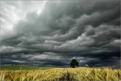 Fotografas Giedrius Šeibelis #fotošiauliai #fotoklubas