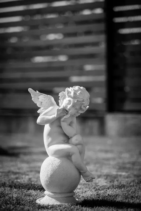 foto: Inga Škėrytė Buividienė #fotosiauliai