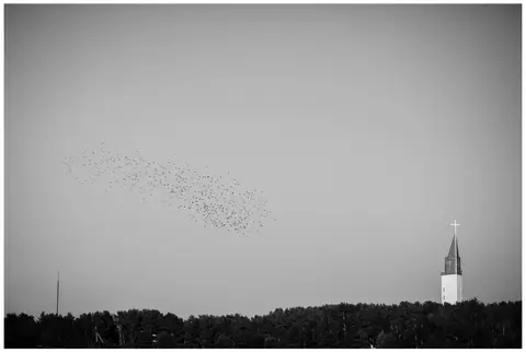 foto: Inga Škėrytė Buividienė #fotosiauliai