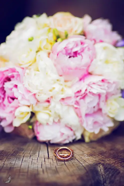 Dita Photography