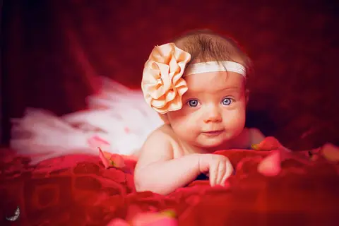 Dita Photography