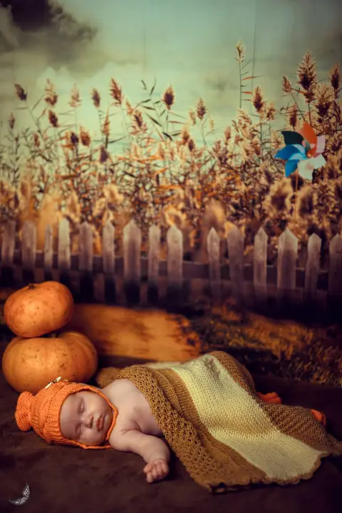 Dita Photography