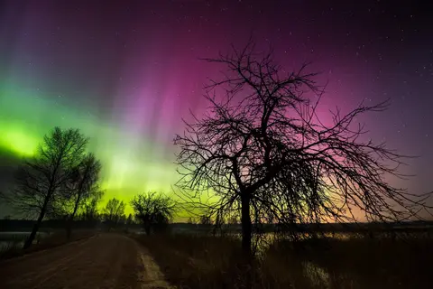 Foto-Šiauliai 2016 pavasaris. klubo narių darbai Mindaugo Macaičio fotogamta