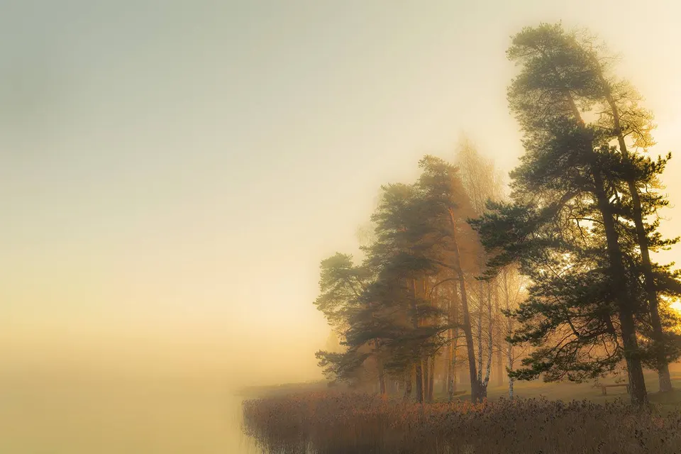 2016 pavasaris. klubo narių darbai.