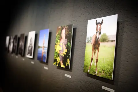 Asociacijos „Foto-Šiauliai" 5 metų - fotografijų paroda
