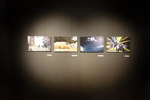 Asociacijos „Foto-Šiauliai" 5 metų - fotografijų paroda