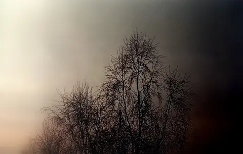Fotokonkursas "Kadras kurio neturėjo būti"