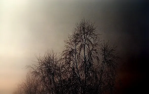 Fotokonkursas "Kadras kurio neturėjo būti"