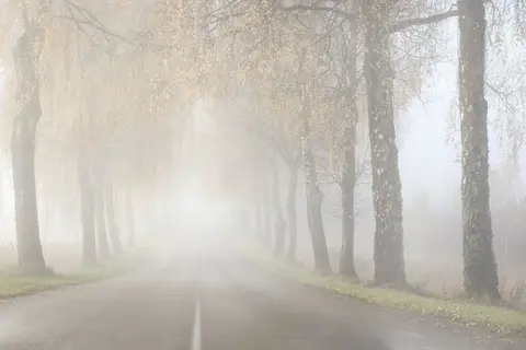 Fotografas - Andrius Stankūnas