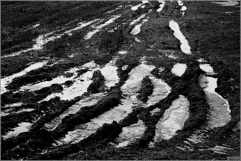 Kovo mėnesio keletas narių nuotraukų