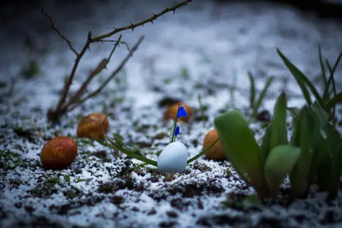 Fotografas - Deividas Katlauskas