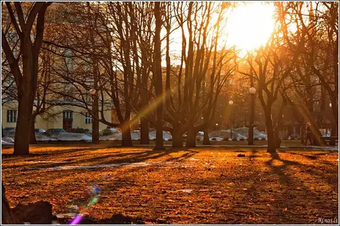 Balandžio keletas narių nuotraukų