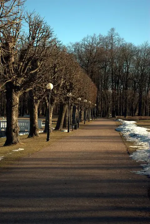 Balandžio keletas narių nuotraukų