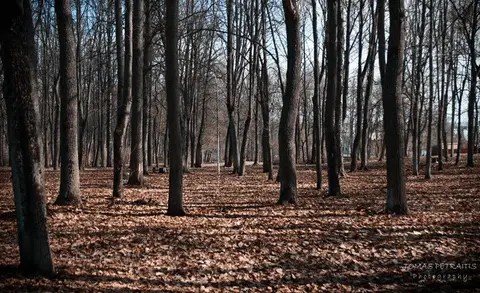 Balandžio keletas narių nuotraukų