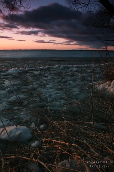 Balandžio keletas narių nuotraukų