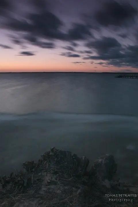 Balandžio keletas narių nuotraukų