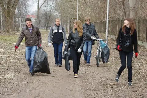 Darom 2011