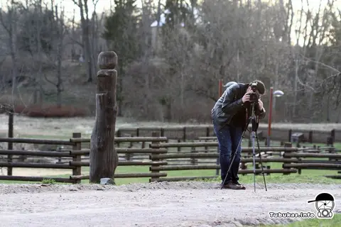 Kurtuvenai 2011-04-20
