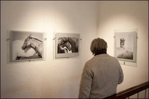 foto: Giedrius Stugas