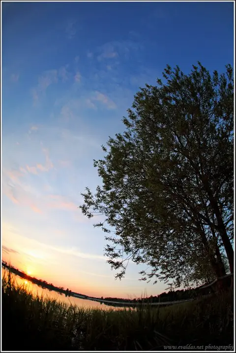 Copyright: www.evaldas.net