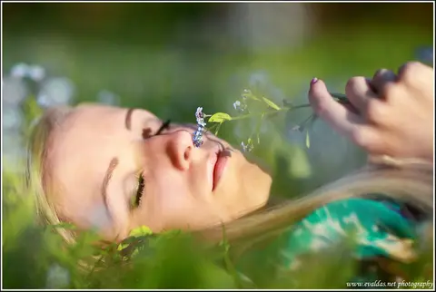 Copyright: www.evaldas.net