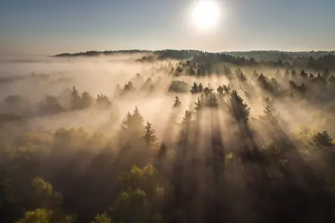 Fotografas - Mindaugas Macaitis