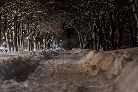 foto: Linas Lesniauskas