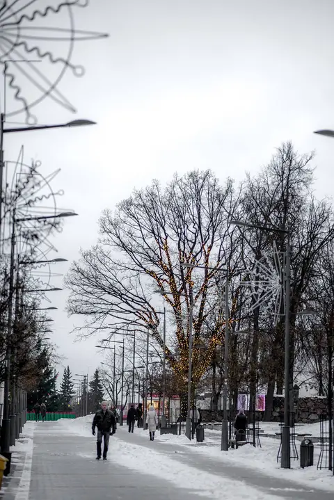 foto: Briga Povilioniene