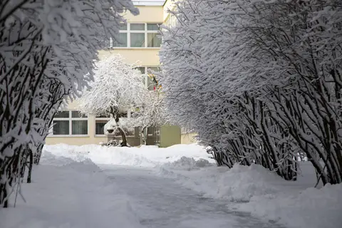foto: Mindaugas Macaitis