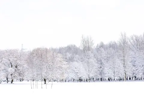 foto: Briga Povilioniene
