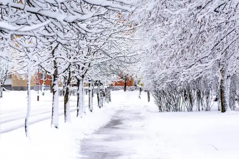 foto: Briga Povilioniene