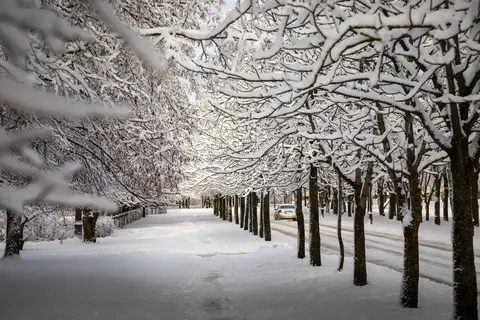 foto: Mindaugas Macaitis