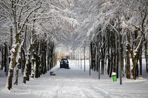 foto: Mindaugas Macaitis