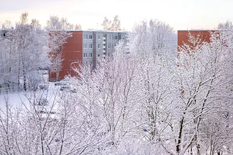foto: Briga Povilioniene