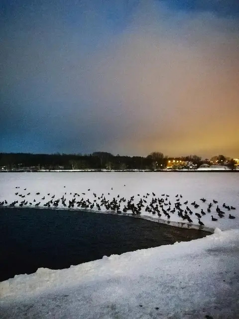foto: Andželika Sakalauskienė