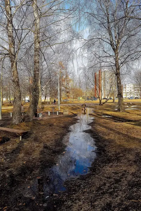 foto: Briga Fotografė projektas: Fotografuojame Šiaulius