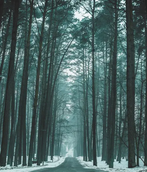 foto: Jurgita Aleksandravičiūtė