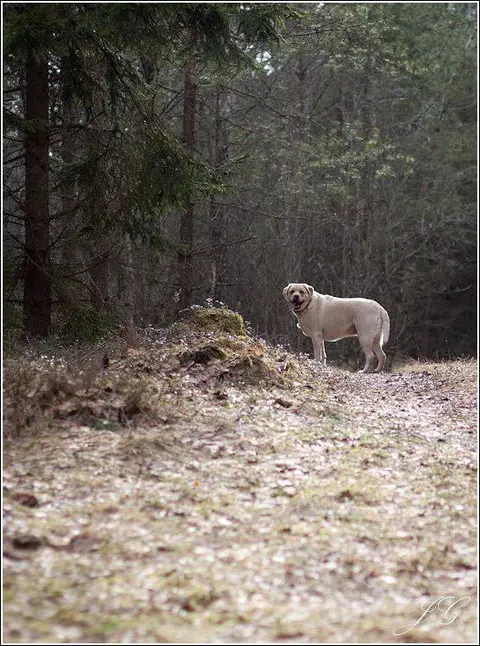 2012-03-24 pasivažinėjimas su Foto-šiauliai