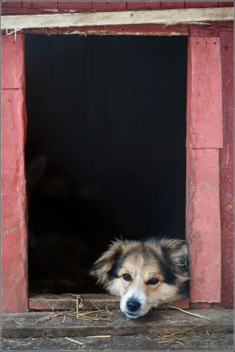 Foto: Andrius Maciunas