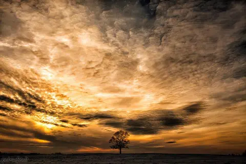 Foto: Fotografas Giedrius Šeibelis