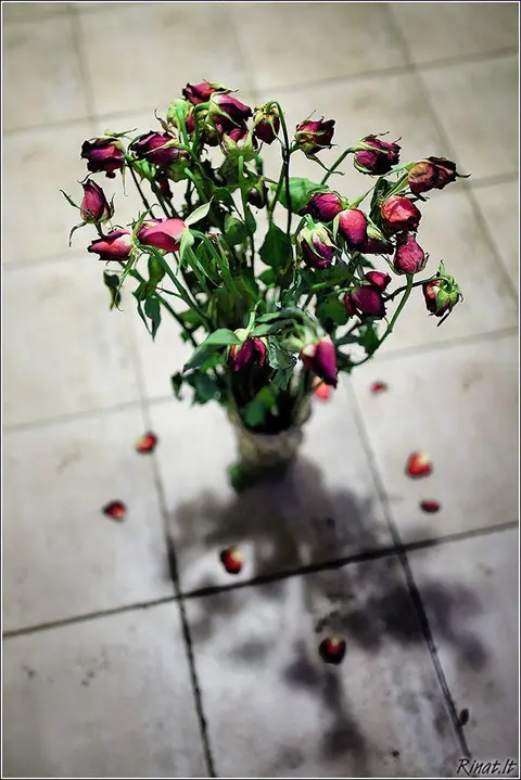 foto: Rinat Tarzumanov